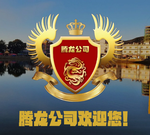关于腾龙公司