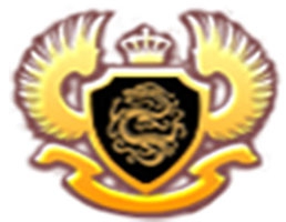 腾龙公司标志